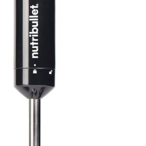 Immersion Blender